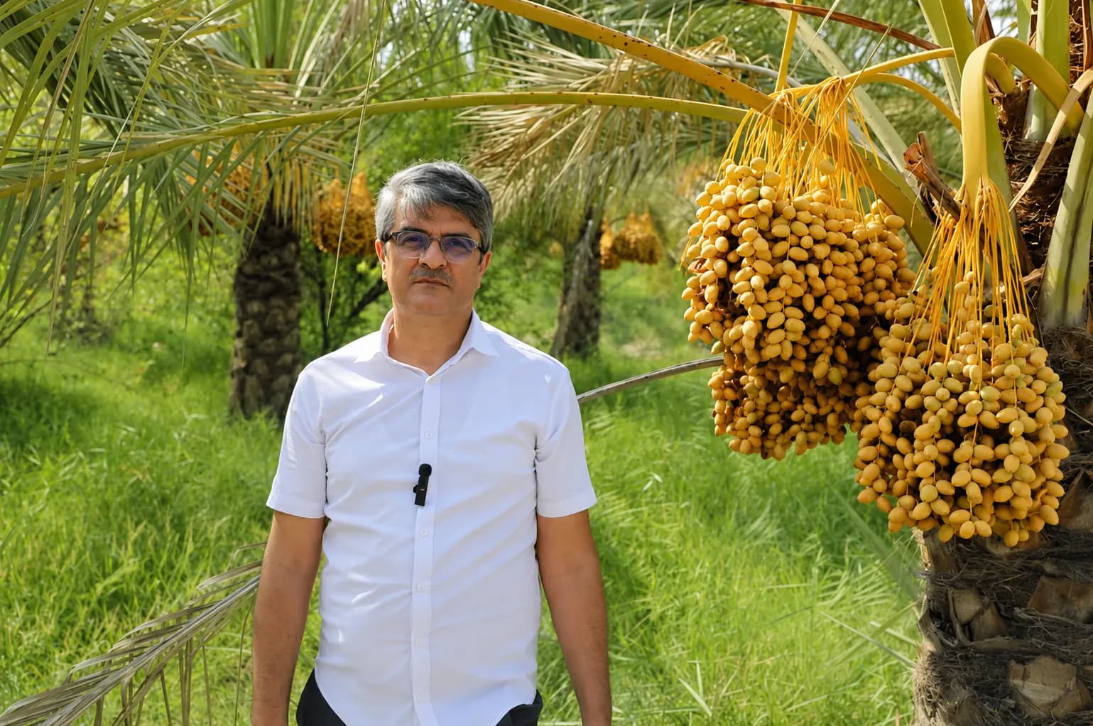 Mohammad Hassan Firoozifard