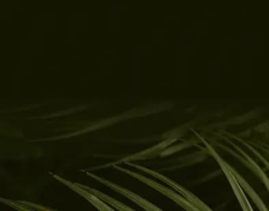 Hero Background Image