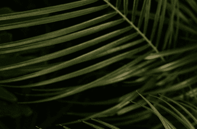 Hero Background Image